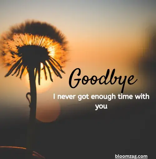 Emotional Goodbye Quotes for a Grandfather We Have Lost