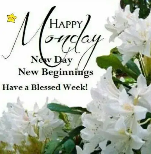 Happy and Blessed Monday Wishes for a Fresh Start