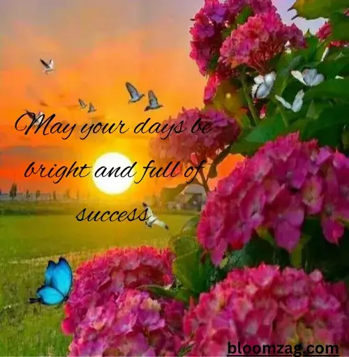 Happy New Week Blessings